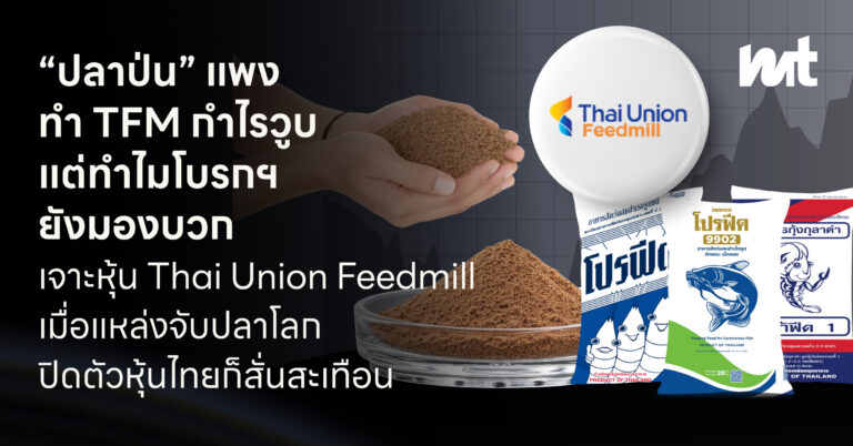 “ปลาป่น” แพง ทำ TFM กำไรวูบ แต่ทำไมโบรกฯ ยังมองบวก เจาะหุ้น Thai Union Feedmill เมื่อแหล่งจับปลาโลกปิดตัว หุ้นไทยก็สั่นสะเทือน