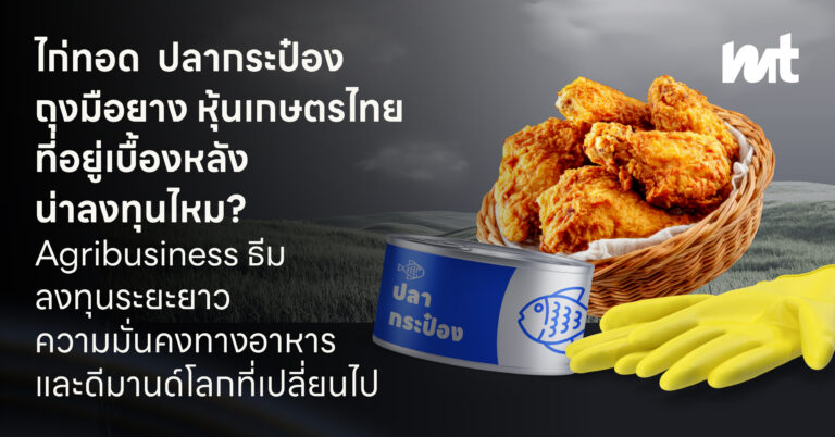ไก่ทอด ปลากระป๋อง ถุงมือยาง หุ้นเกษตรไทยที่อยู่เบื้องหลัง น่าลงทุนไหม? Agribusiness ธีมลงทุนระยะยาว ความมั่นคงทางอาหาร และดีมานด์โลกที่เปลี่ยนไป
