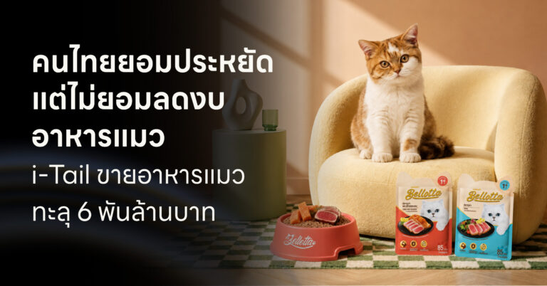 คนไทยยอมประหยัด แต่ไม่ยอมลดงบอาหารแมว i-Tail ขายอาหารแมว ทะลุ 6 พันล้านบาท